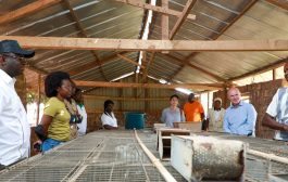 Visite de terrain auprès des Bénéficiaires des Filets Sociaux dans le Poro, le Tchologo et le Hambol